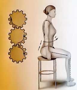 Blog_003_spinalcurve